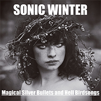 Magical Silver Bullets and Hell Birdsongs - Sonic Winter